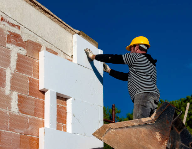 Best Cellulose Insulation in Port Arthur, TX